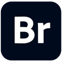 Adobe Bridge 2026 Icon