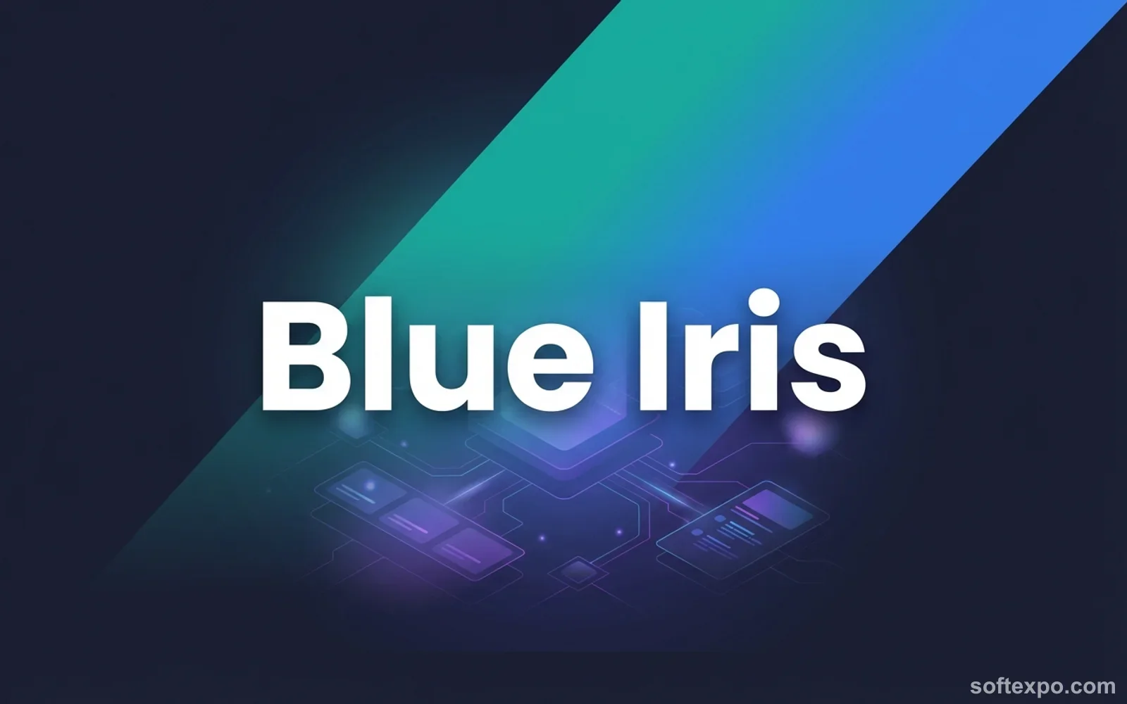 Blue Iris Cover
