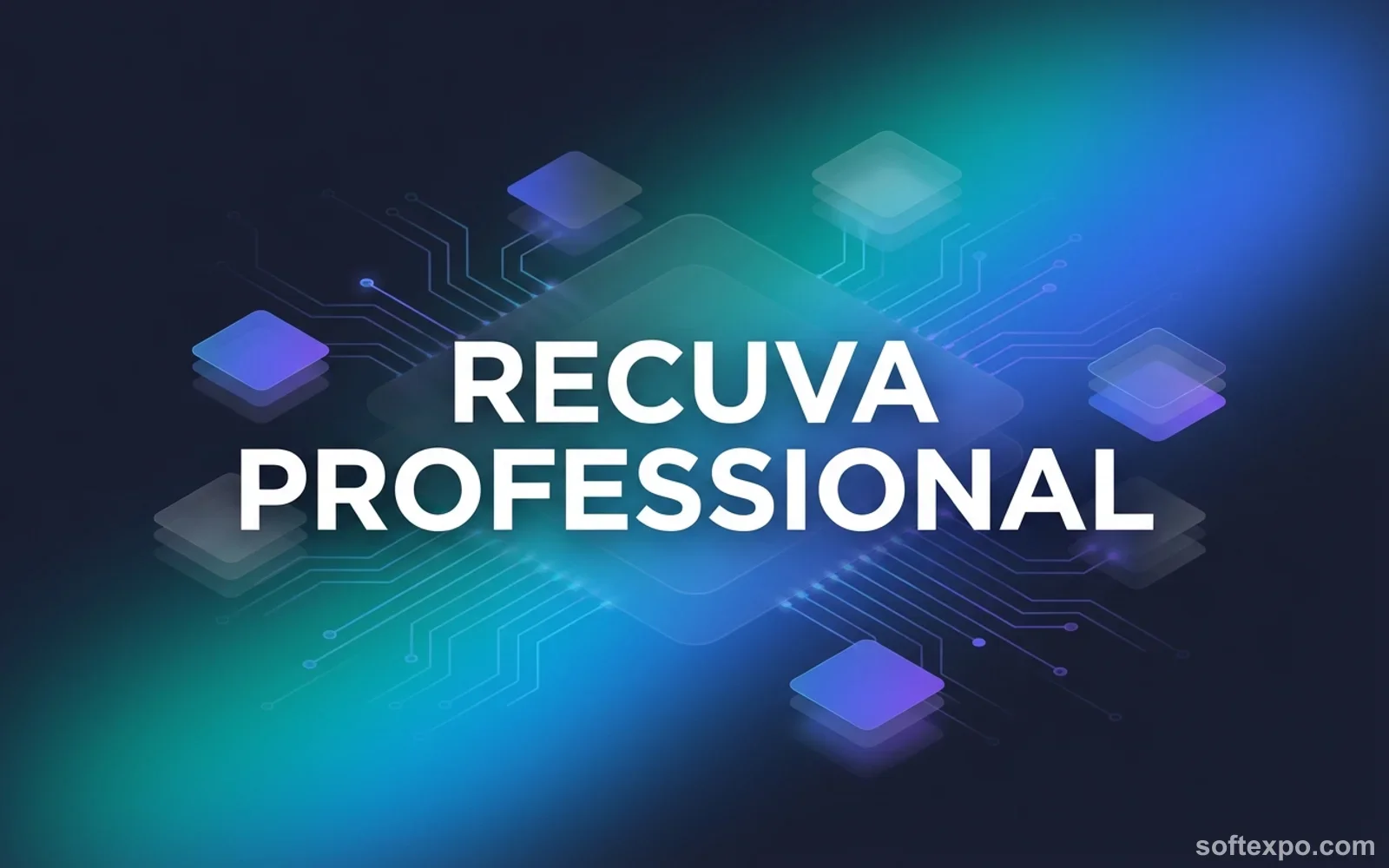 Recuva Professional Cover