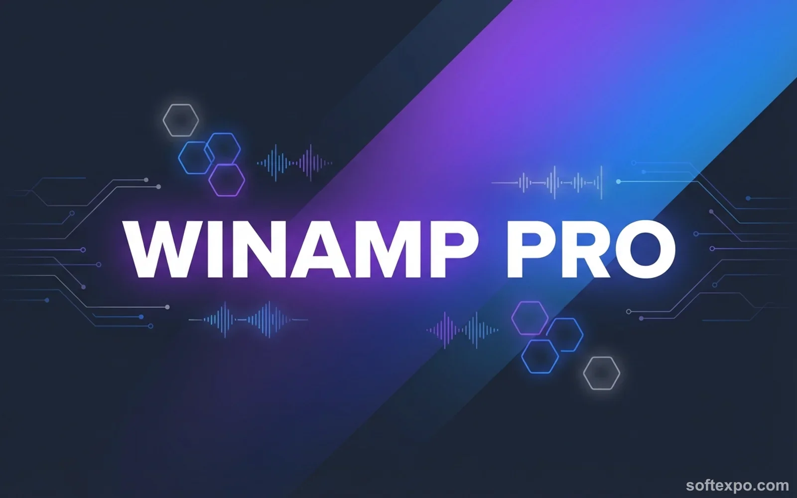 Winamp Pro Cover