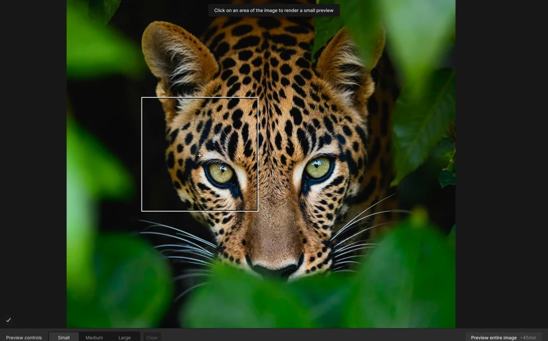 Topaz Gigapixel AI Super - Size Upscale